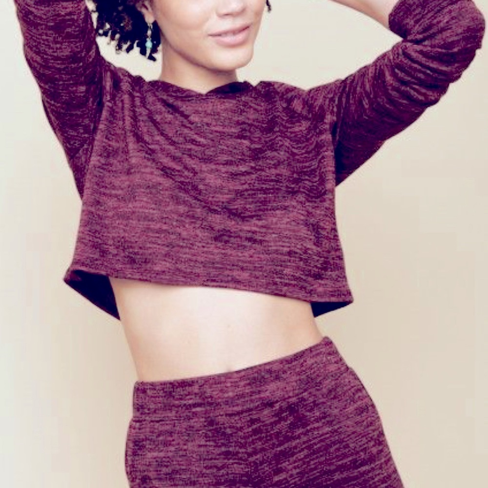 Earthbound Selma Burgandy Crop Hoodie Sweatshirt